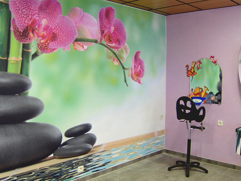 Plafonds Tendus Murs Design Poussier Peinture Et Decoration